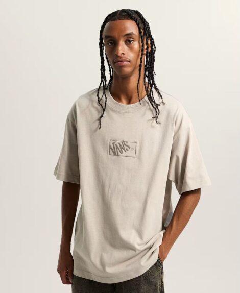 Футболка VANS BLOCKED BOX Loose VN000RAP7D6 mushroom_2