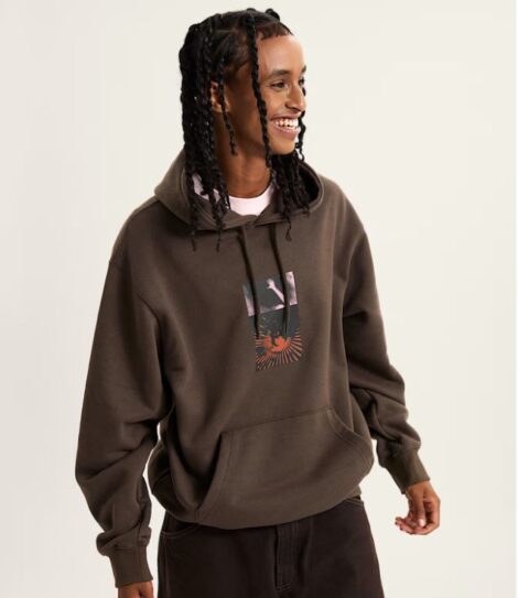 Толстовка VANS Transcend Pullover VNPAHEMP coal brown_2
